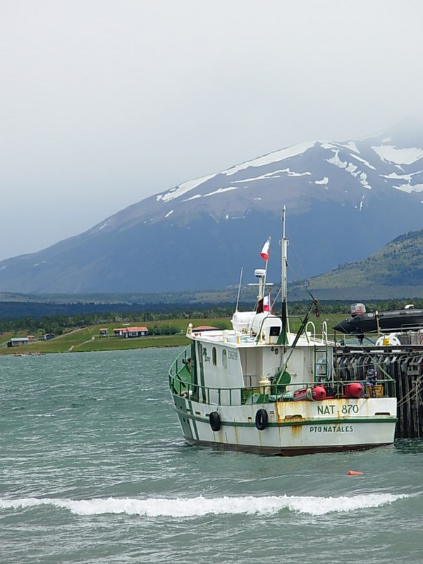 Foto de Puerto Natales, Chile