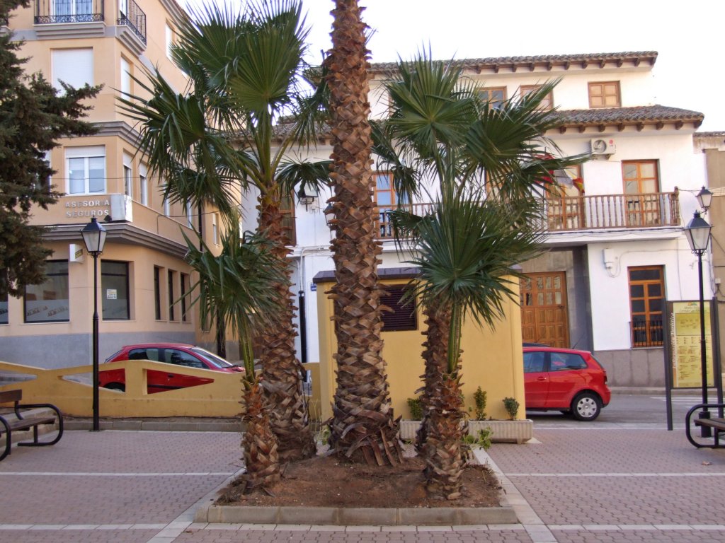 Foto de Montealegre del Castillo (Albacete), España