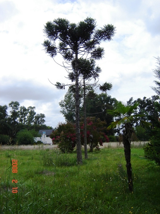 Foto de Cañuelas, Buenos Aires, Argentina