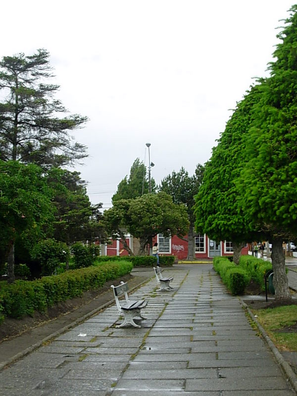 Foto de Puerto Natales, Chile