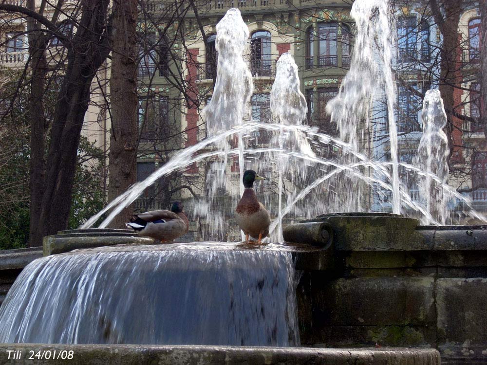 Foto de Oviedo (Asturias), España