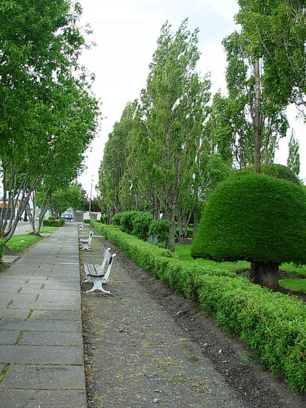 Foto de Puerto Natales, Chile