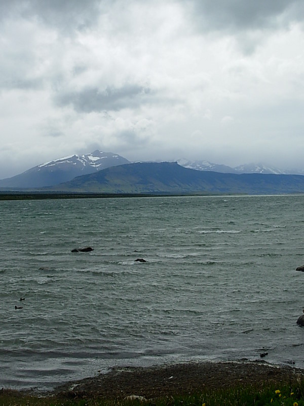 Foto de Puerto Natales, Chile