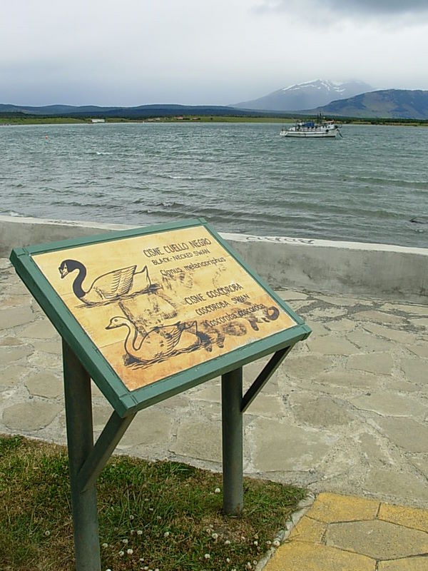 Foto de Puerto Natales, Chile