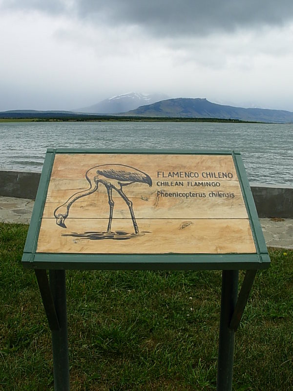 Foto de Puerto Natales, Chile