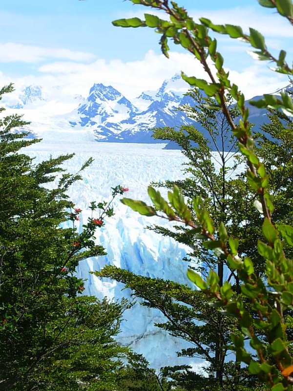 Foto de Parque Nacional los Glaciares, Argentina