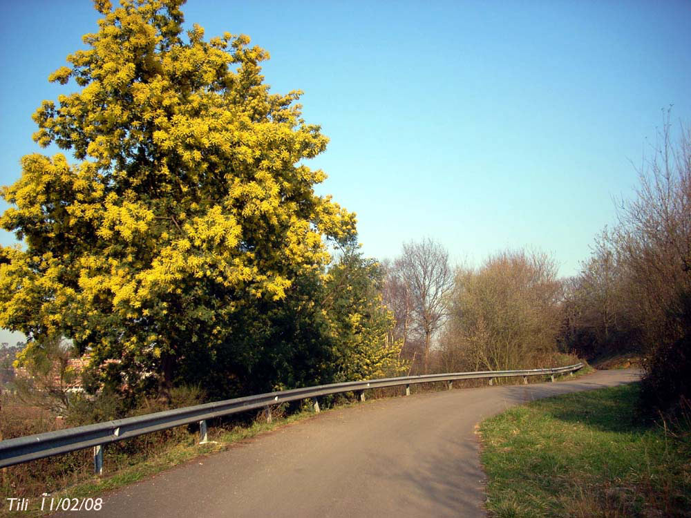 Foto de Oviedo (Asturias), España