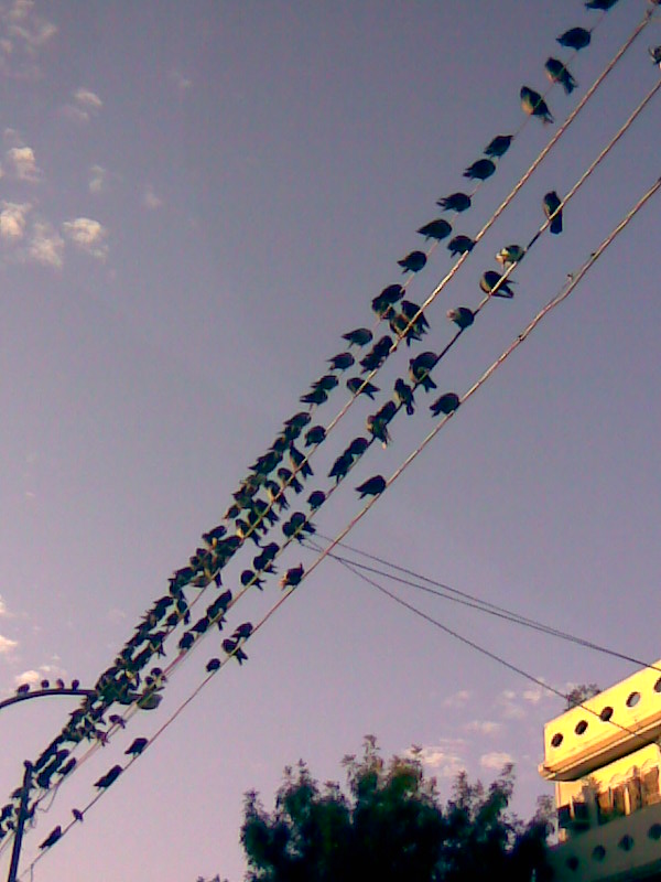 Foto de Buenos Aires, Argentina