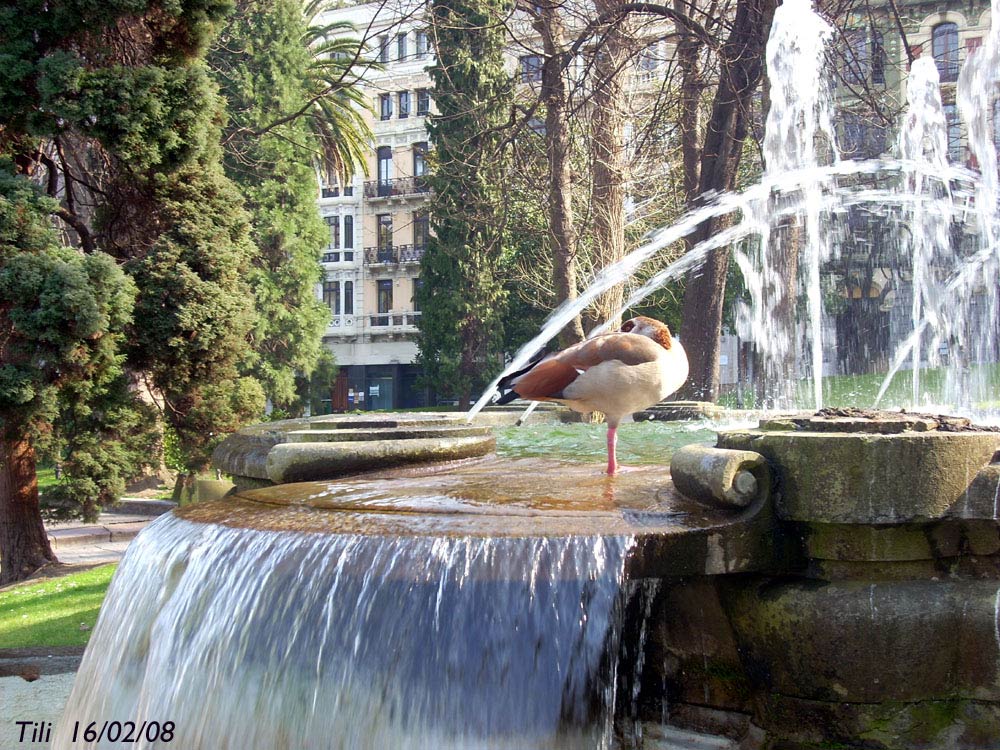 Foto de Oviedo (Asturias), España