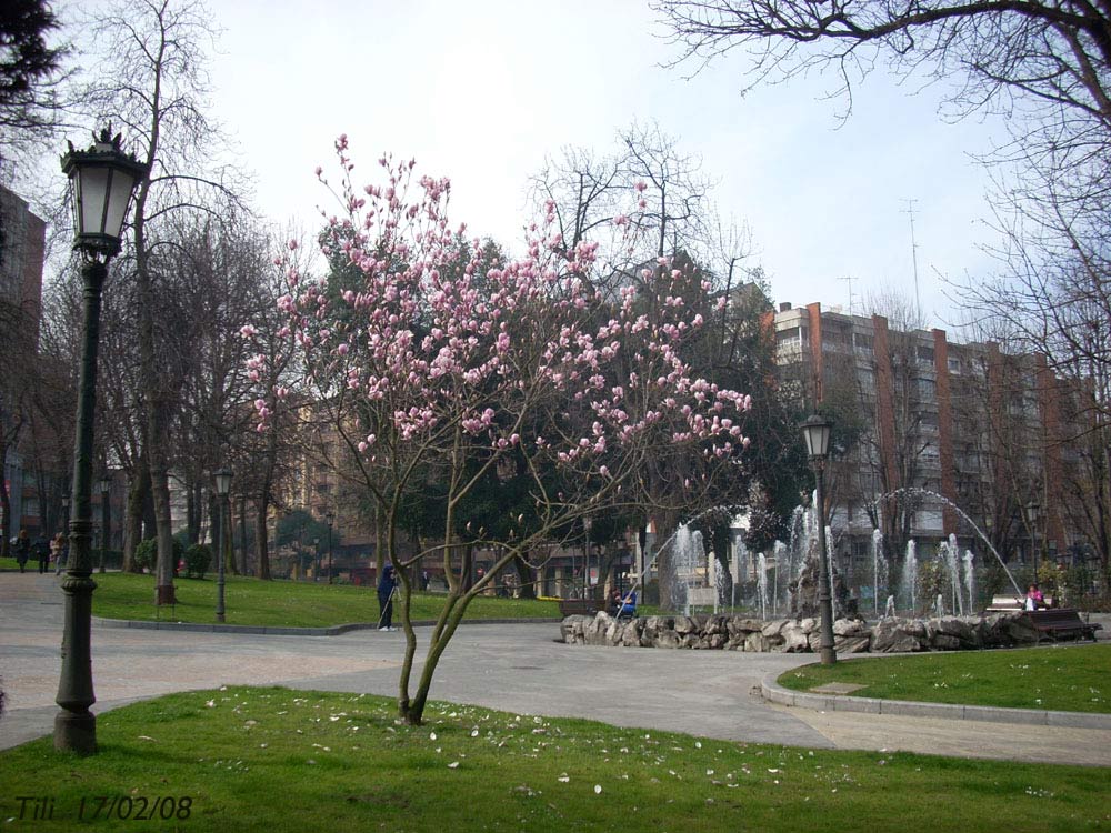 Foto de Oviedo (Asturias), España