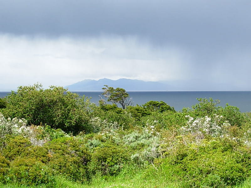 Foto de Punta Arenas, Chile