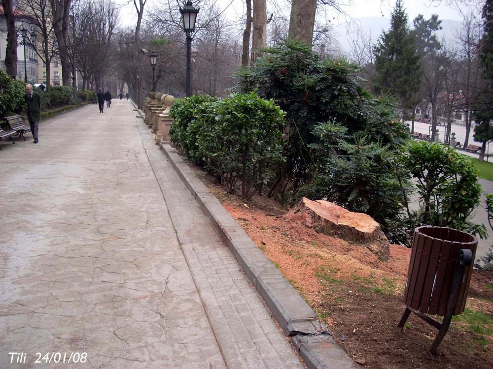 Foto de Oviedo (Asturias), España