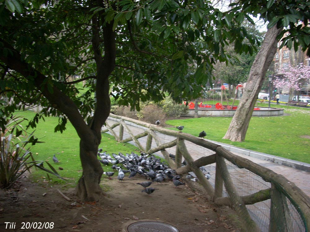 Foto de Oviedo (Asturias), España