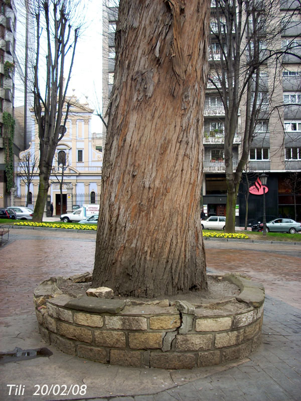 Foto de Oviedo (Asturias), España