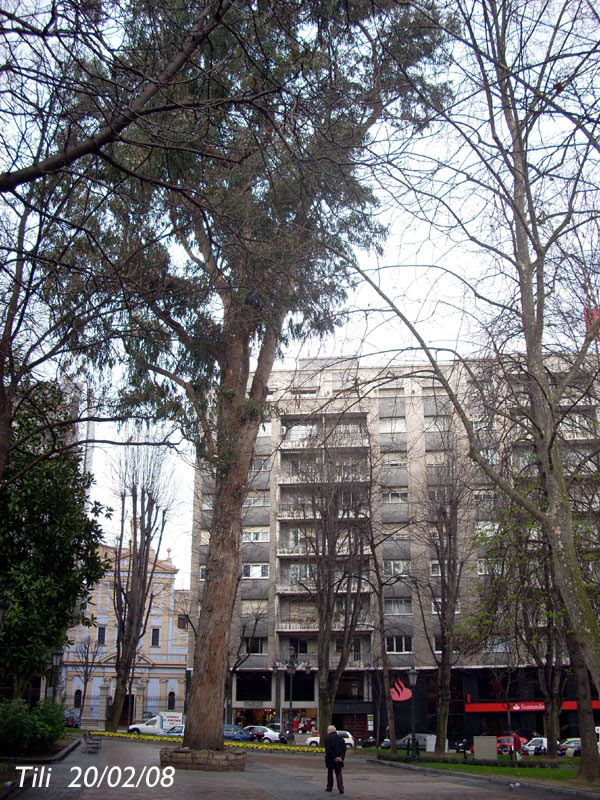 Foto de Oviedo (Asturias), España