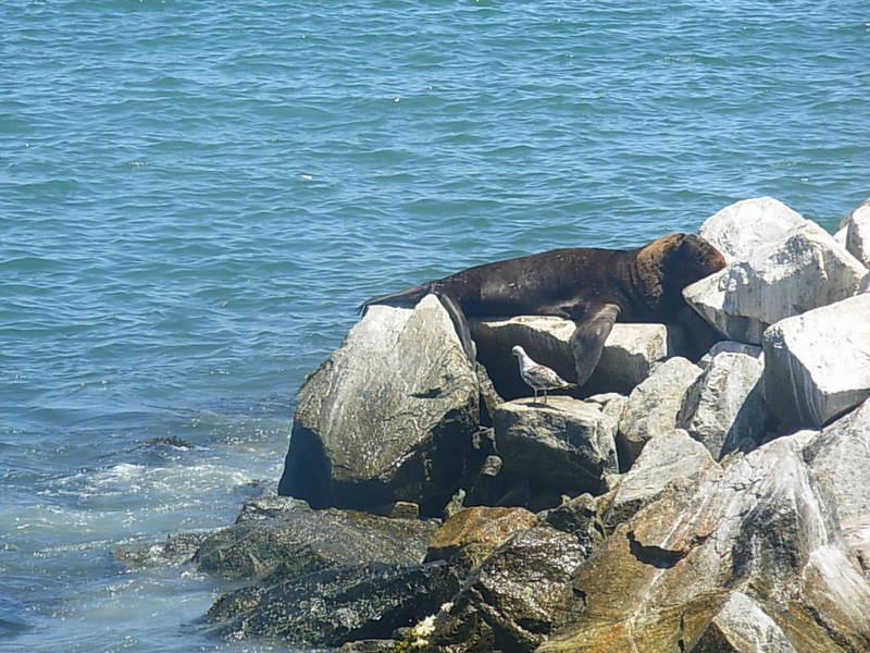 Foto de San Antonio, Chile