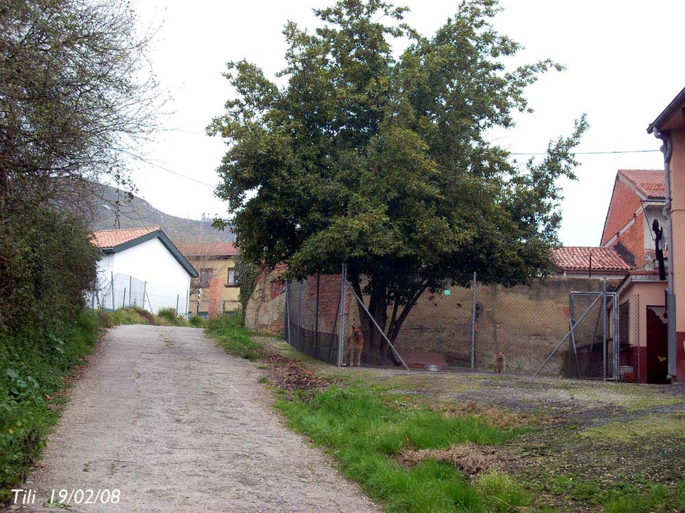 Foto de Oviedo (Asturias), España