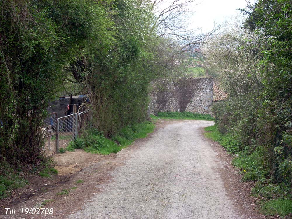 Foto de Oviedo (Asturias), España