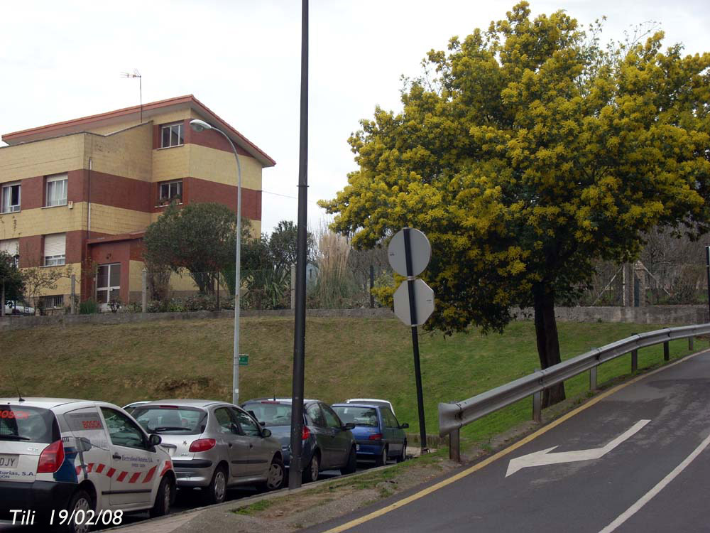 Foto de Oviedo (Asturias), España