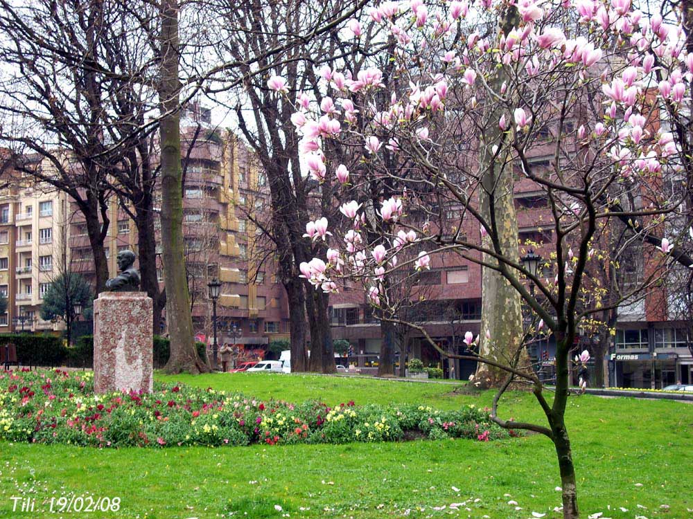 Foto de Oviedo (Asturias), España