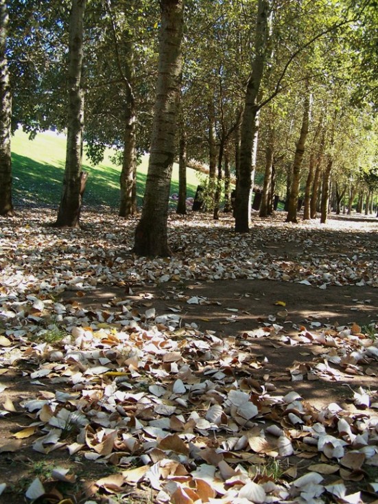 Foto de Buenos Aires, Argentina