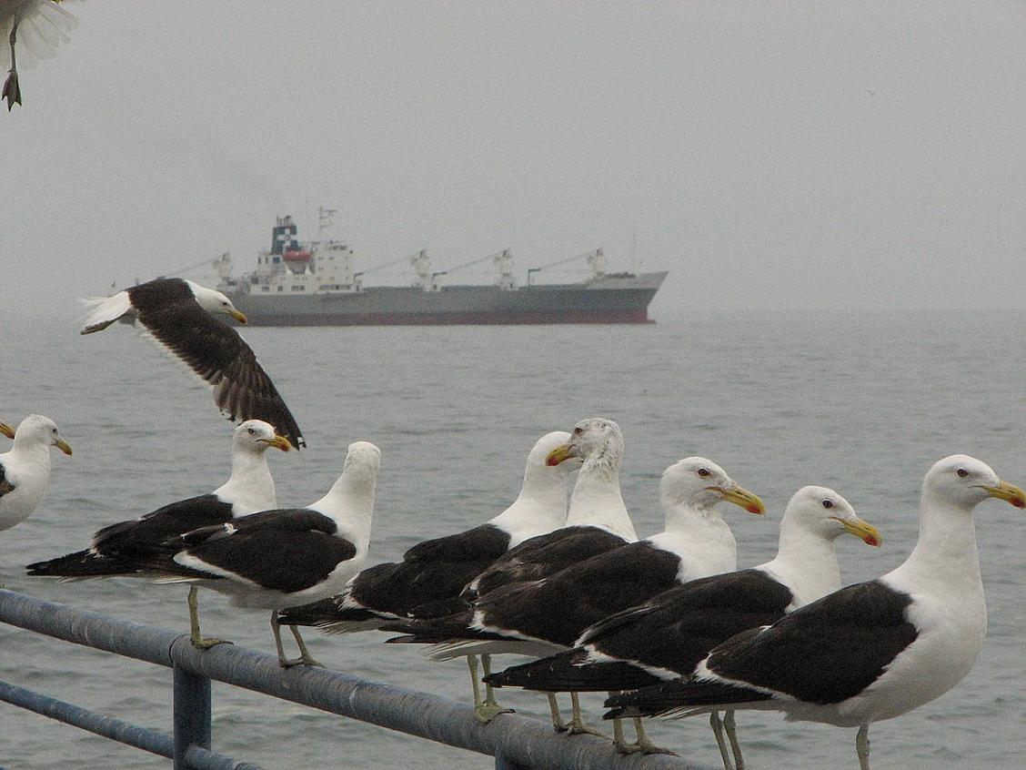 Foto de Valparaíso, Chile