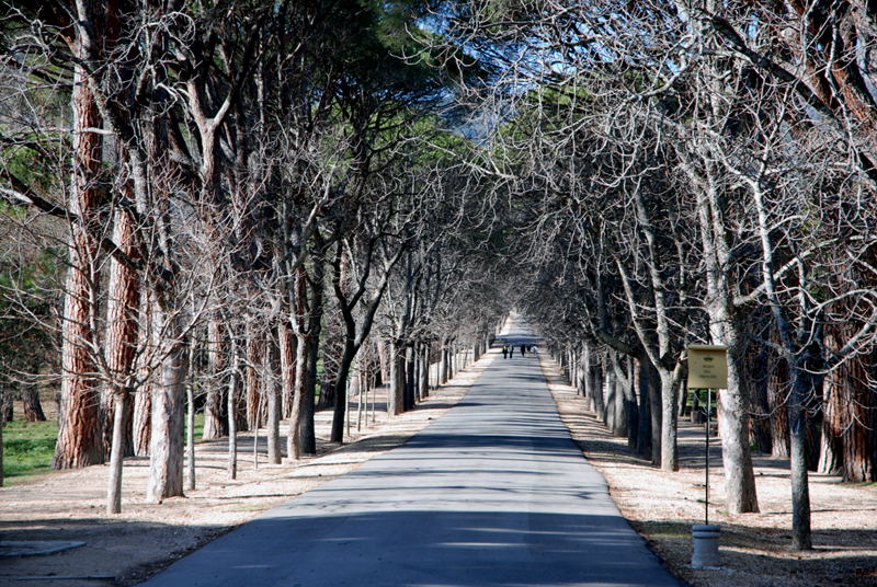 Foto de San Lorenzo de El Escorial (Madrid), España