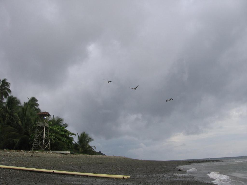 Foto de Isla Gorgona, Colombia