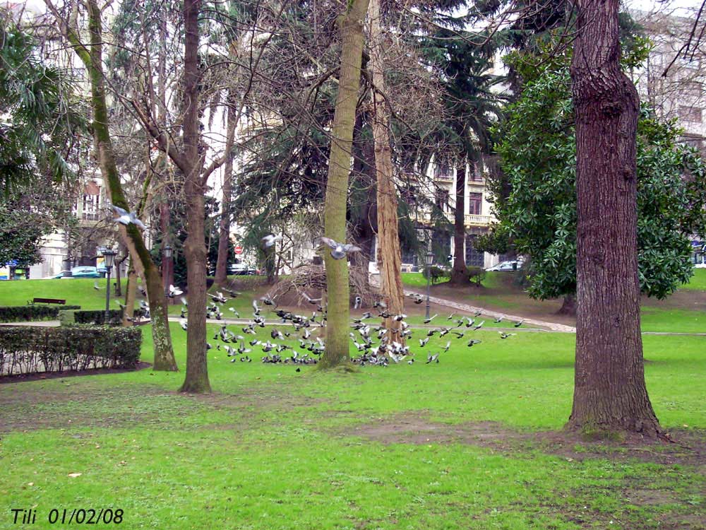 Foto de Oviedo (Asturias), España