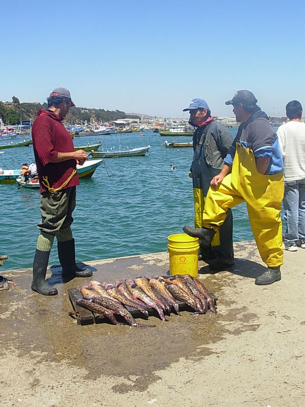 Foto de San Antonio, Chile