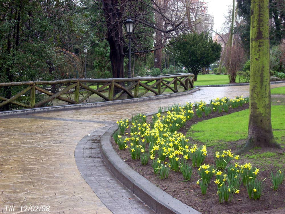 Foto de Oviedo (Asturias), España