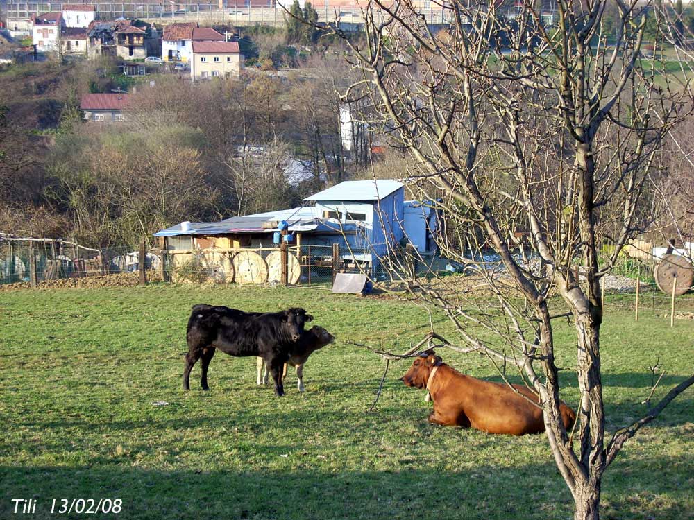 Foto de Oviedo (Asturias), España