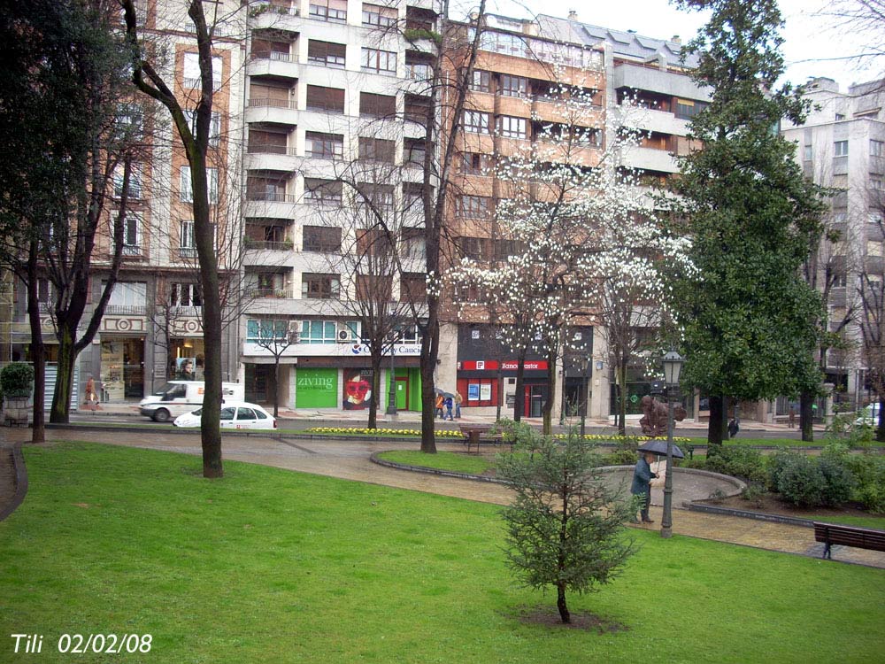 Foto de Oviedo (Asturias), España