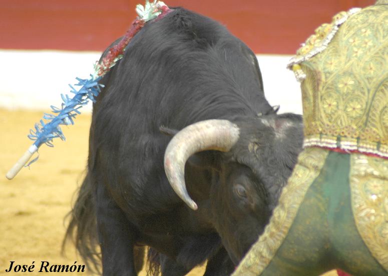 Foto de Jerez de la Frontera (Cádiz), España