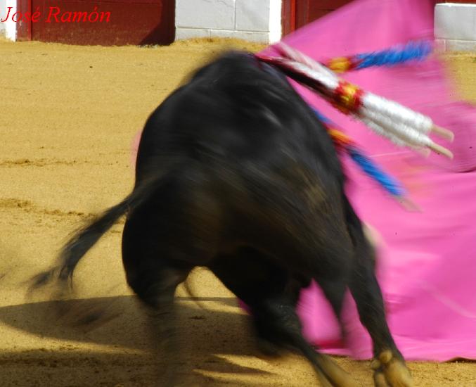 Foto de Jerez de la Frontera (Cádiz), España