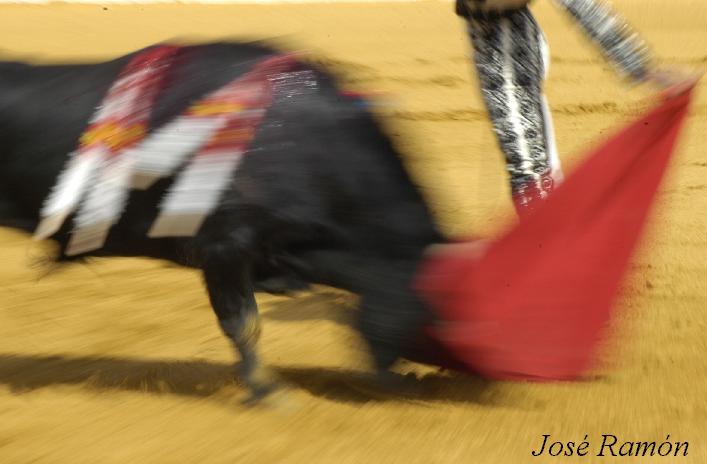 Foto de Jerez de la Frontera (Cádiz), España