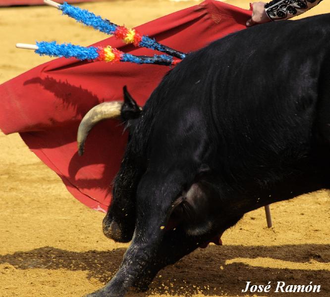 Foto de Jerez de la Frontera (Cádiz), España