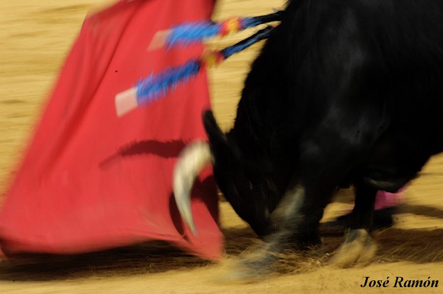 Foto de Jerez de la Frontera (Cádiz), España