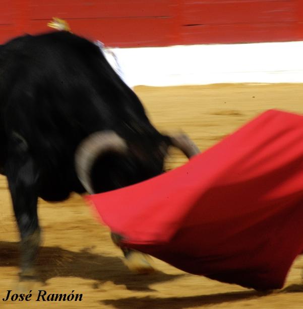 Foto de Jerez de la Frontera (Cádiz), España