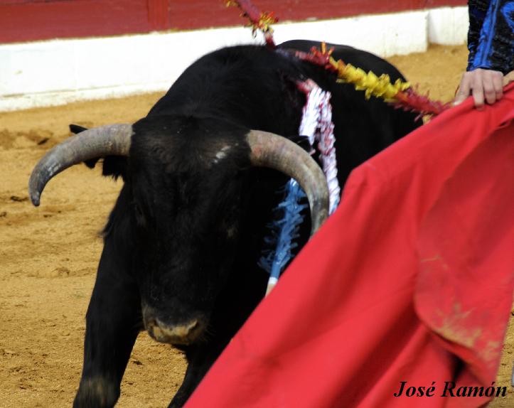 Foto de Jerez de la Frontera (Cádiz), España