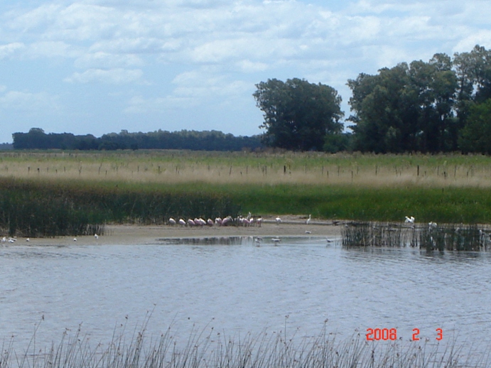 Foto de Lobos, Buenos Aires, Argentina