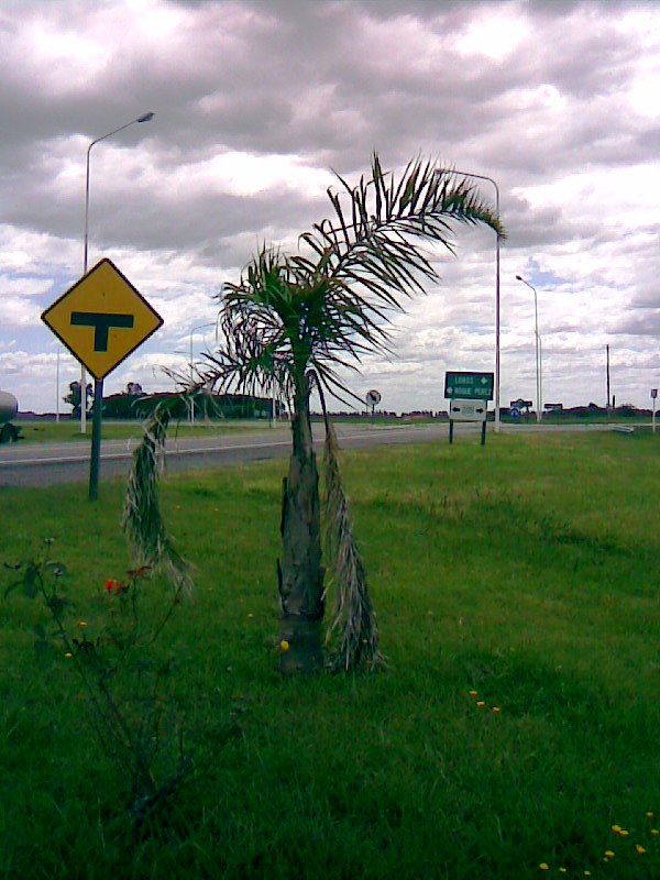 Foto de Lobos, Buenos Aires, Argentina