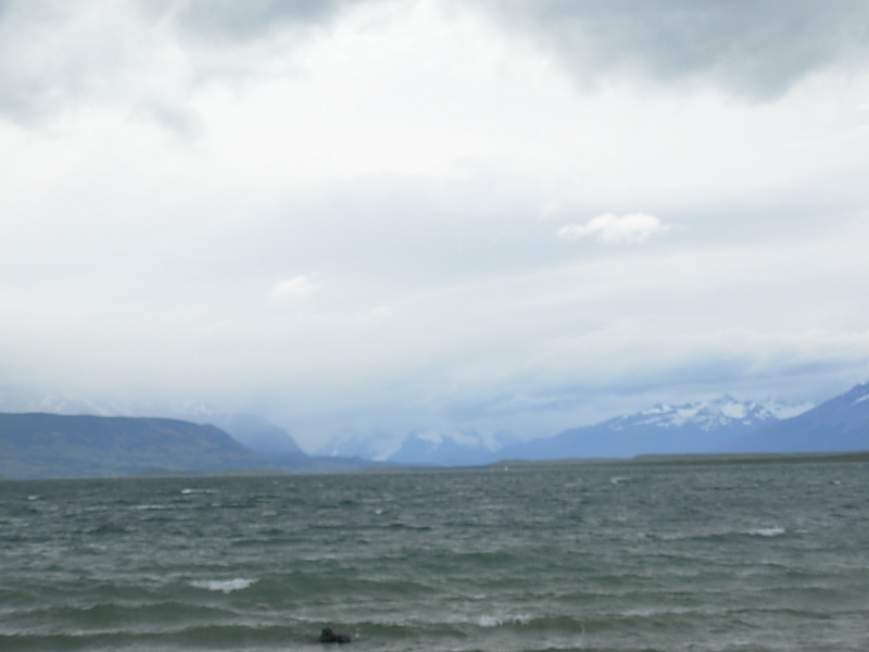 Foto de Puerto Natales, Chile