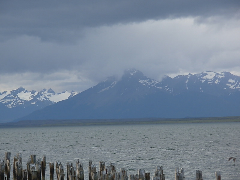 Foto de Puerto Natales, Chile