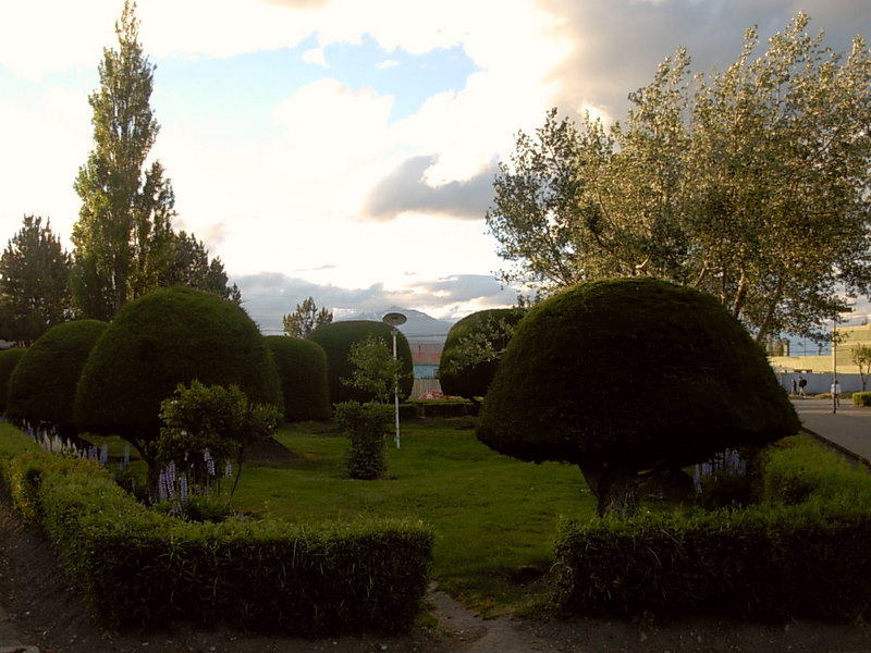 Foto de Puerto Natales, Chile