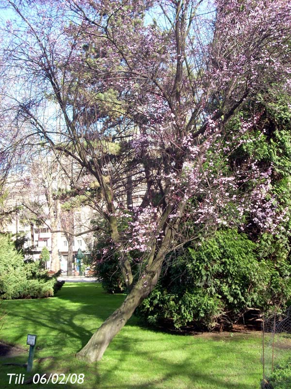 Foto de Oviedo (Asturias), España