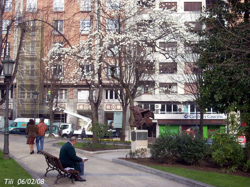 Foto de Oviedo (Asturias), España