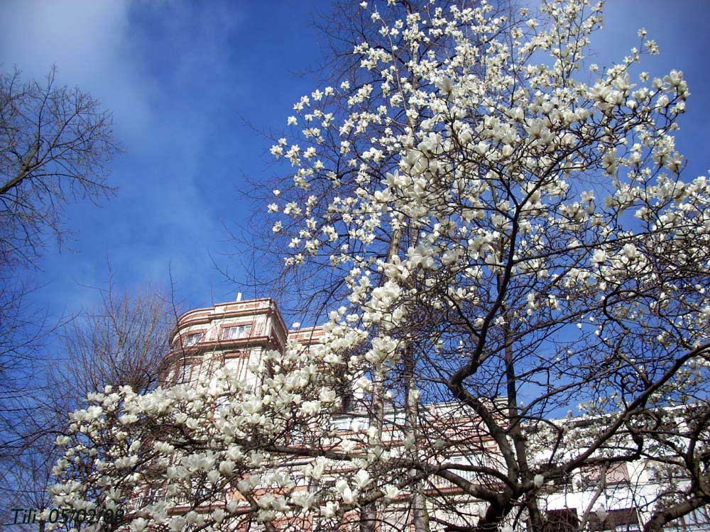 Foto de Oviedo (Asturias), España