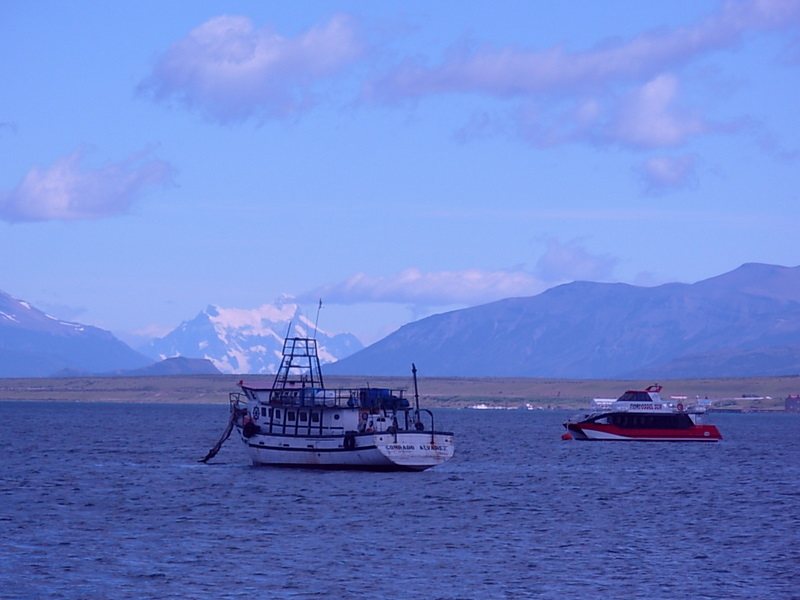 Foto de Puerto Natales, Chile