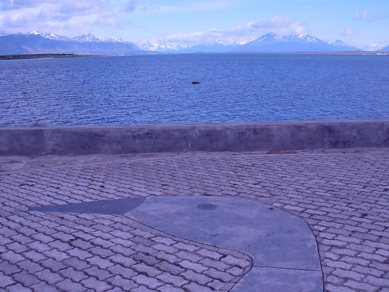 Foto de Puerto Natales, Chile